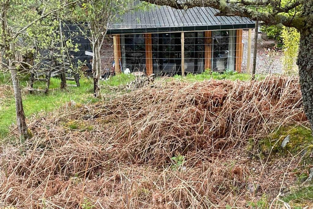 Coorie Doon Cabin! Great Scottish Welcome フォート・オーガスタス エクステリア 写真