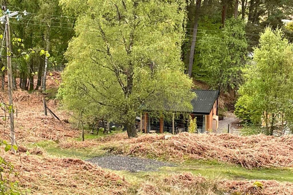 Coorie Doon Cabin! Great Scottish Welcome フォート・オーガスタス エクステリア 写真